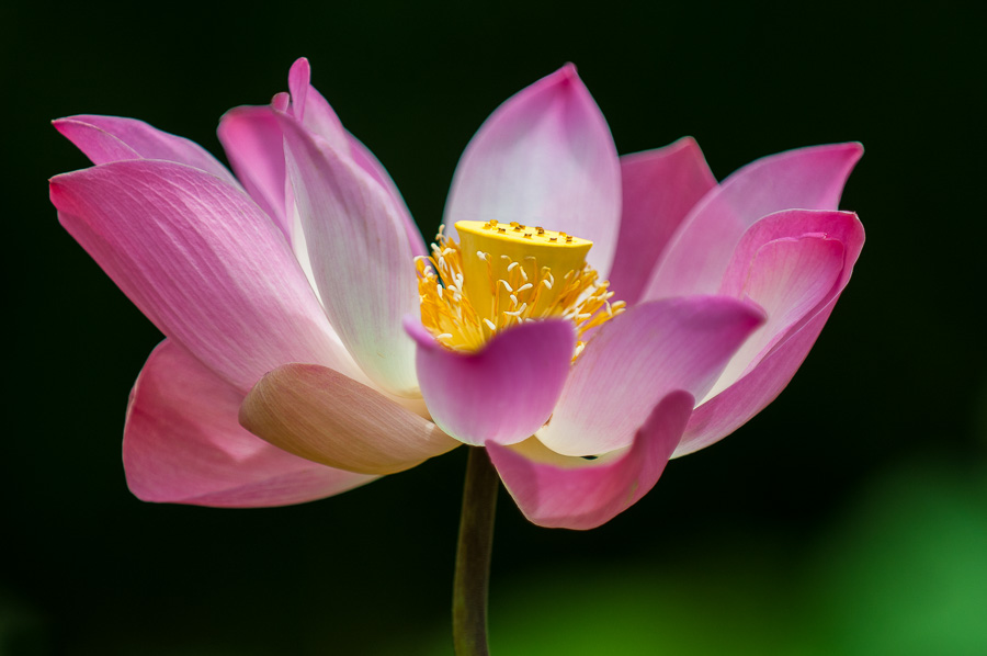 09. Platz - Udo Preussler