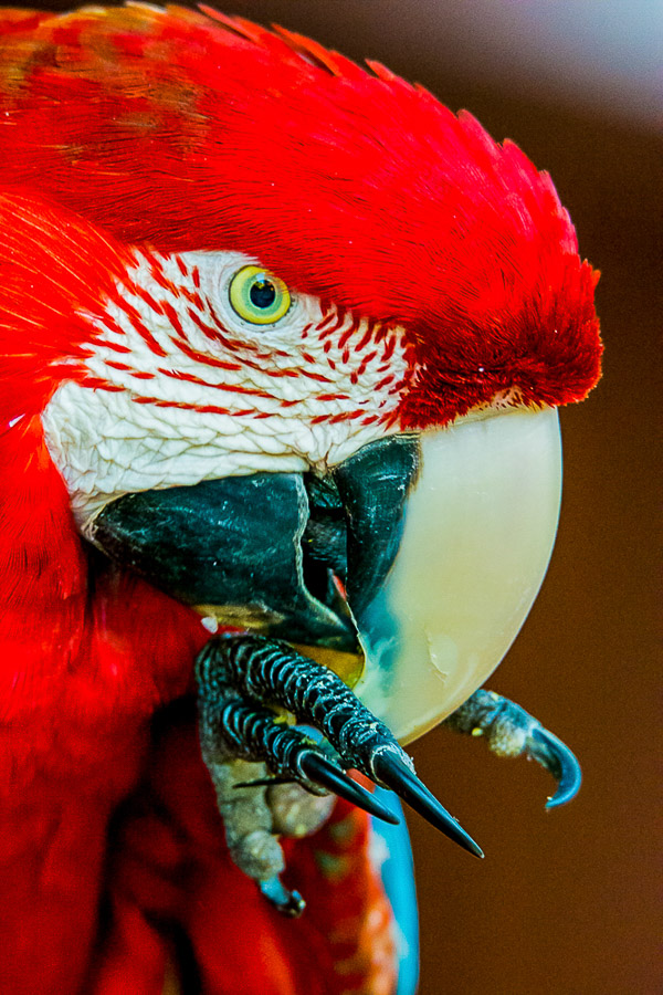 06. Platz - Hartmut Haas