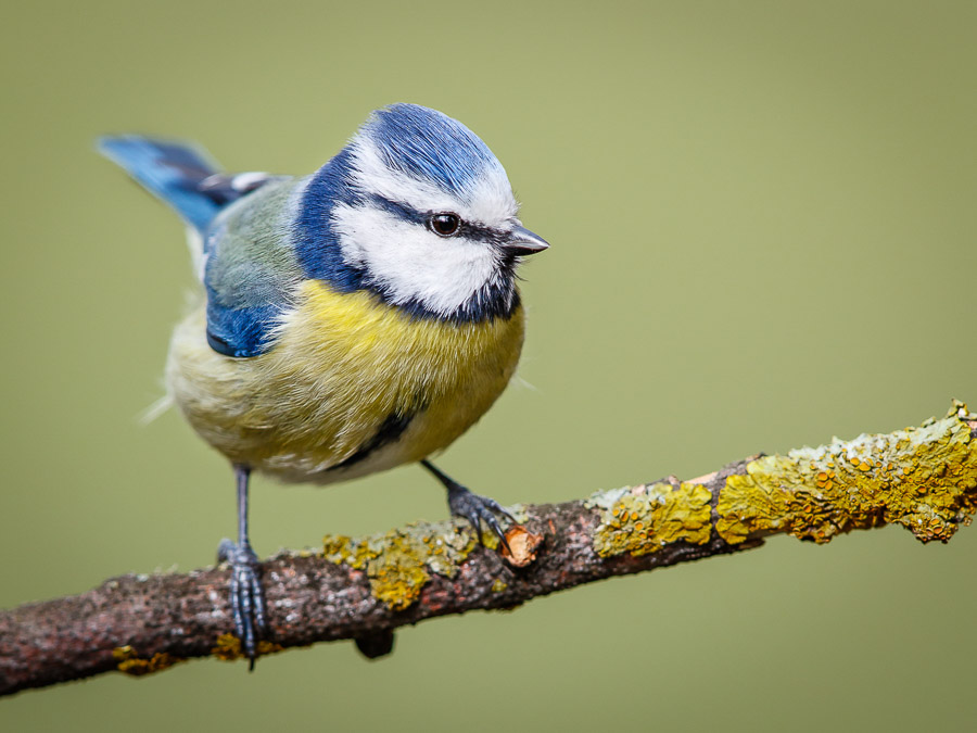 04. Platz - Ralp Stiller