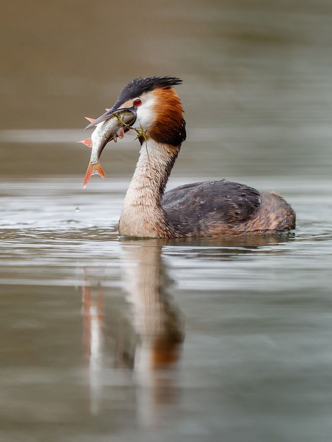 03. Platz - Ralp Stiller