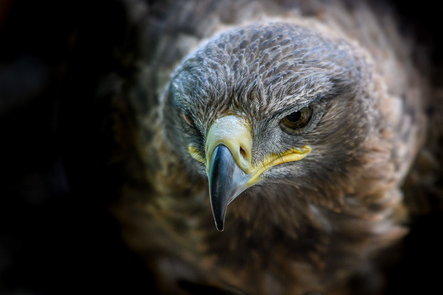 04. Platz - Udo Preussler