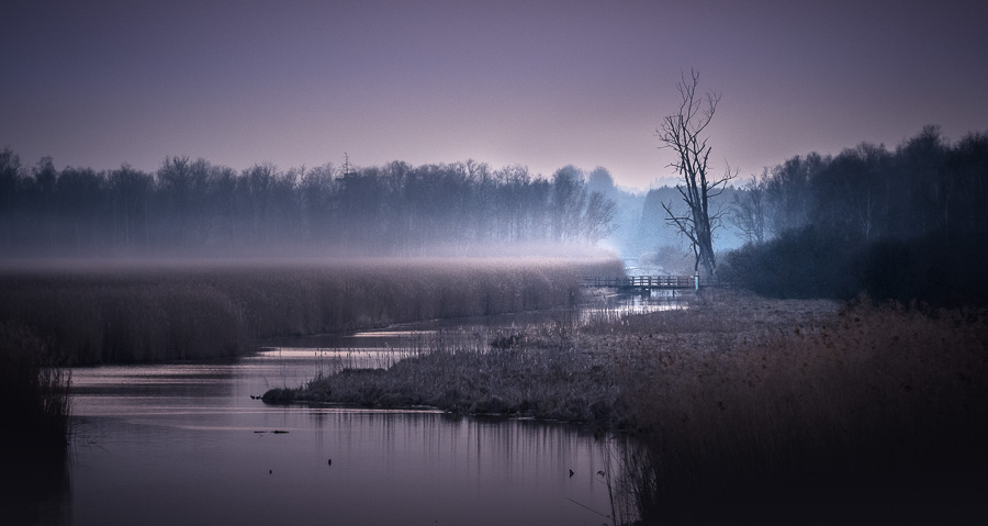 02. Platz - Charlene Smith