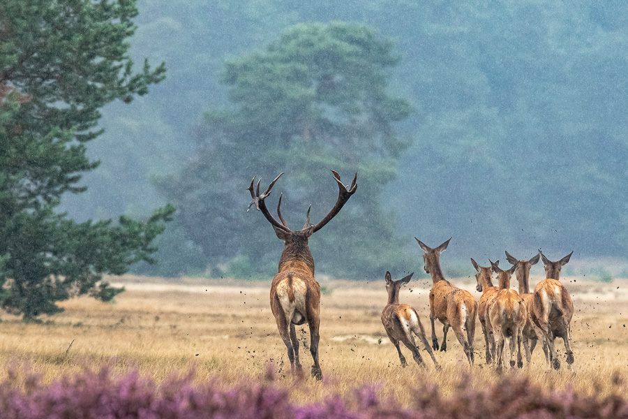 06. Platz - Leon Sterk