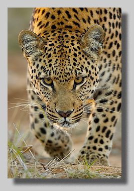 2. Platz - Harald L�ffler