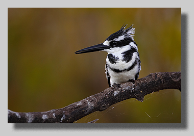 4. Platz - Harald L�ffler