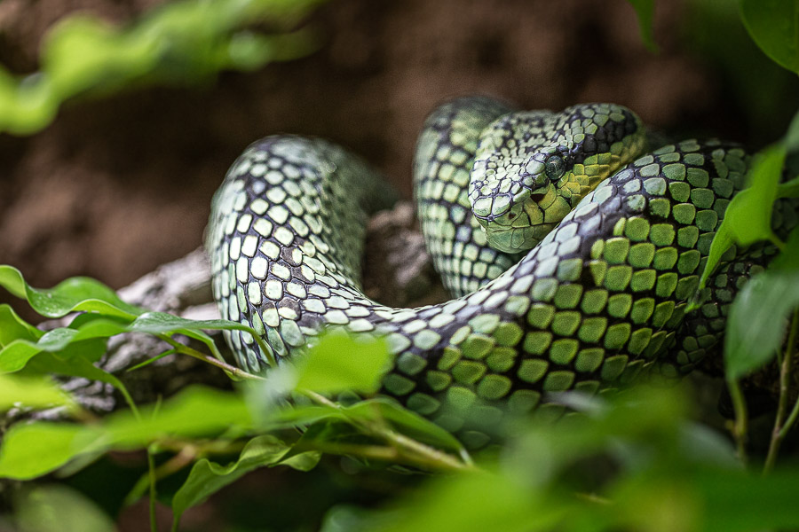 10. Platz - Max Bader