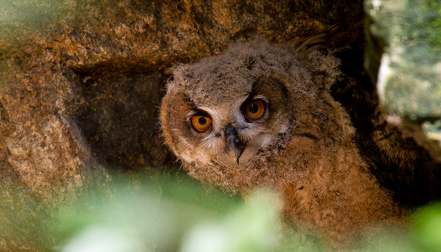 09. Platz - Max Bader