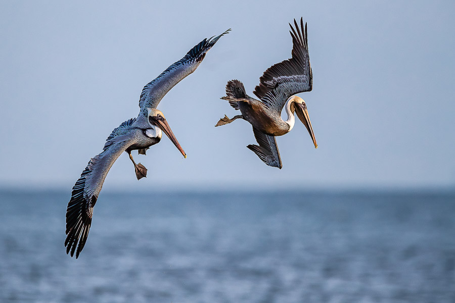 03. Platz - Ralph Stiller