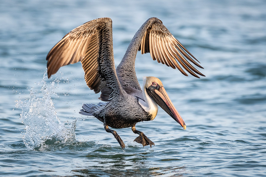 04. Platz - Ralph Stiller