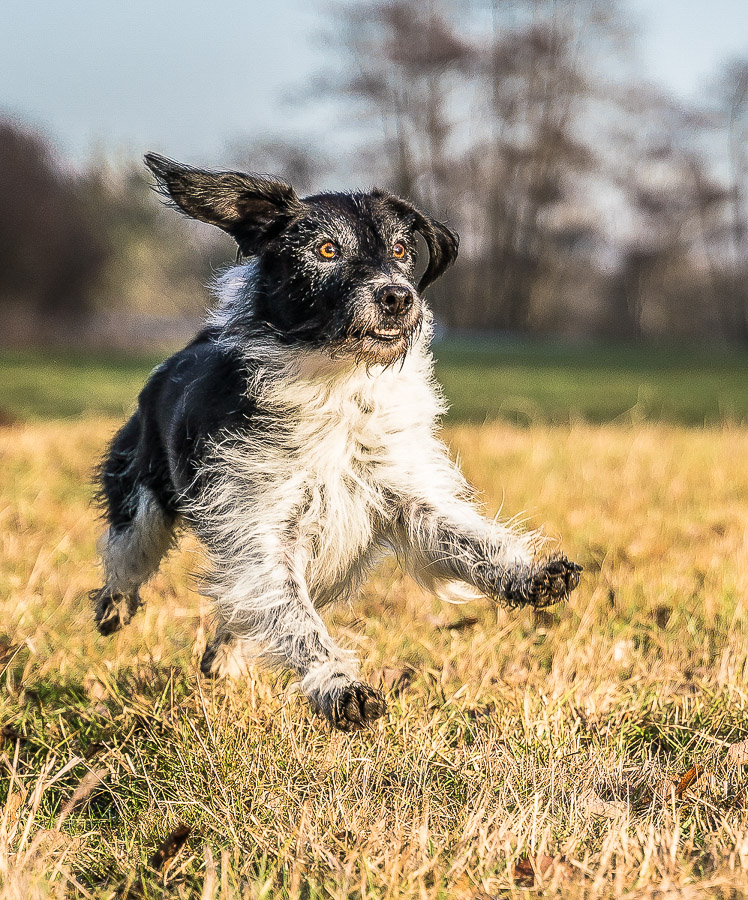09. Platz - Heike Ziegler