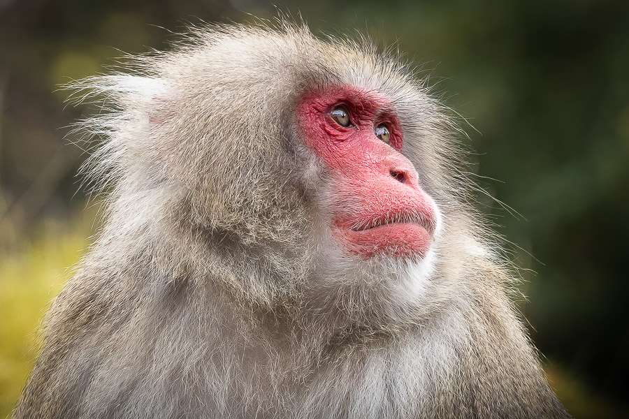 07. Platz - Monika Egerer