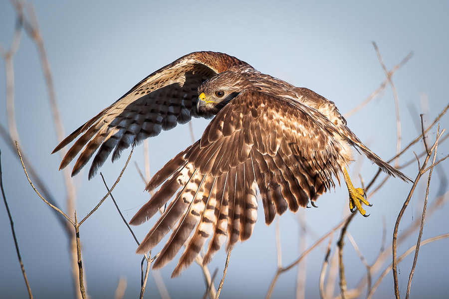 02. Platz - Ralph Stiller