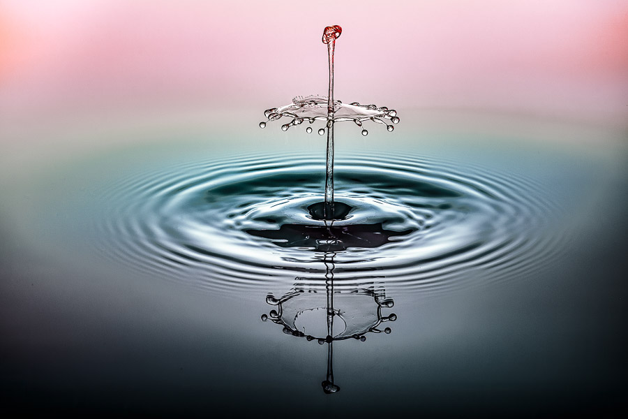 06. Platz - Monika Egerer