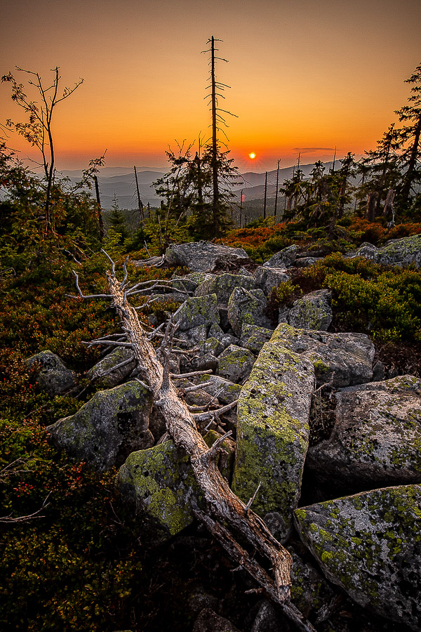 08. Platz - Maik Zinnaecker