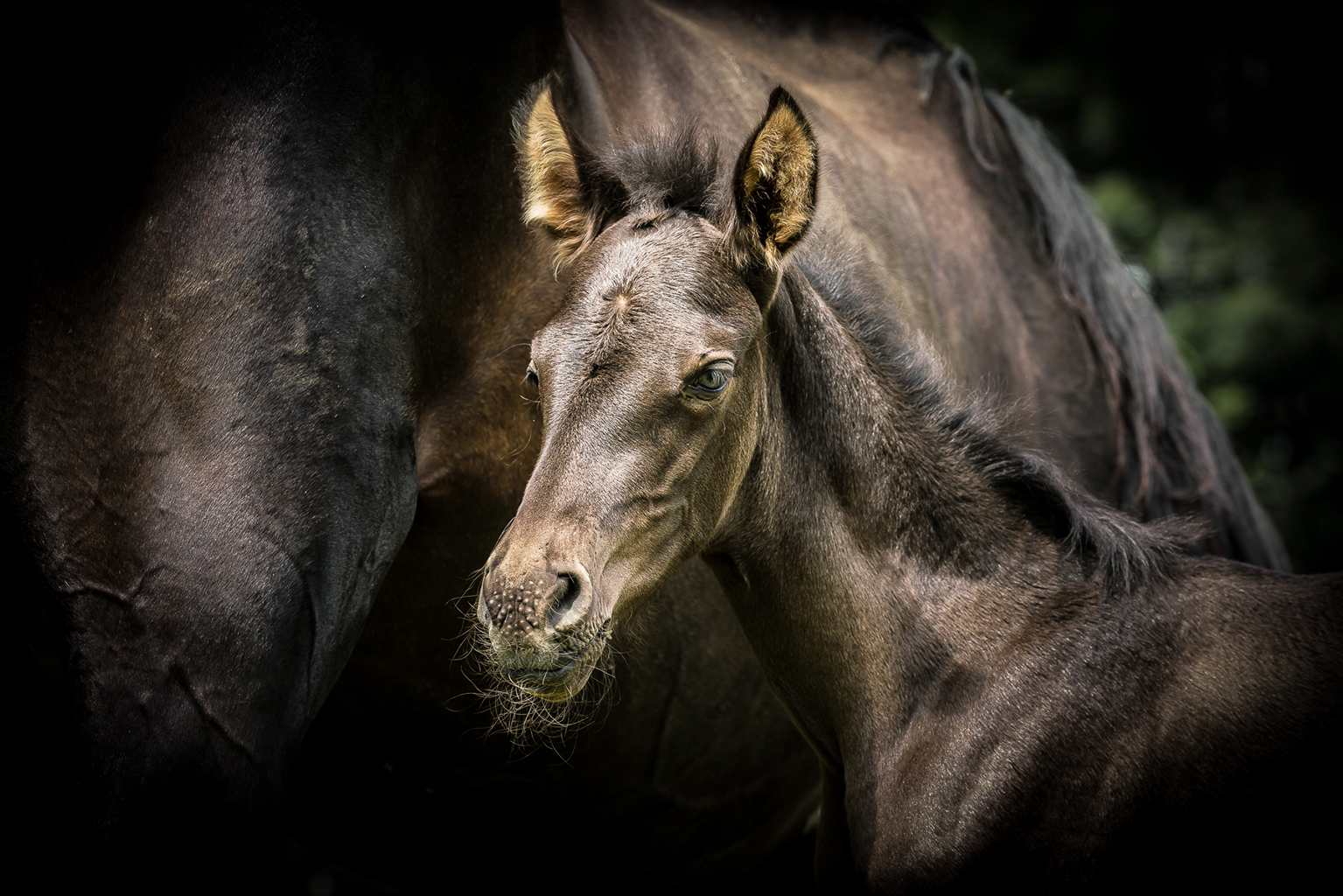 07. Platz - Heike Ziegler