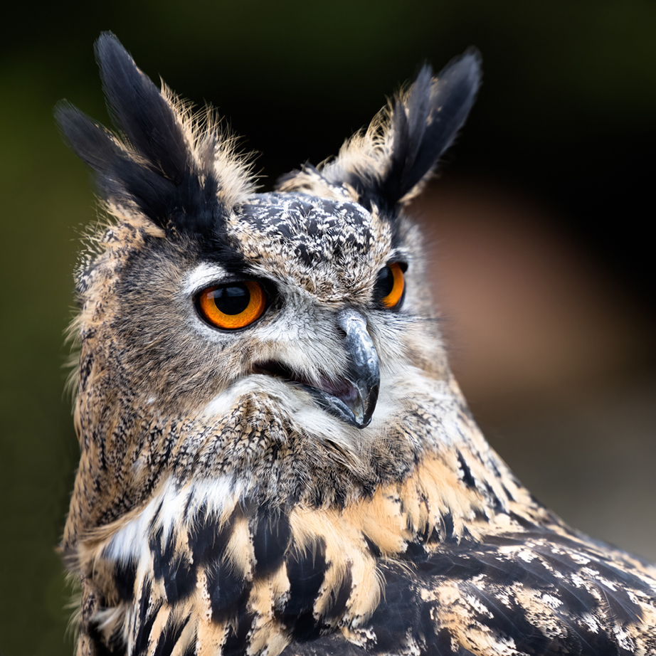 09. Platz - Monika Egerer