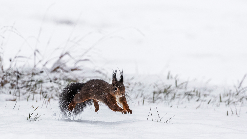 04. Platz - Leon Sterk