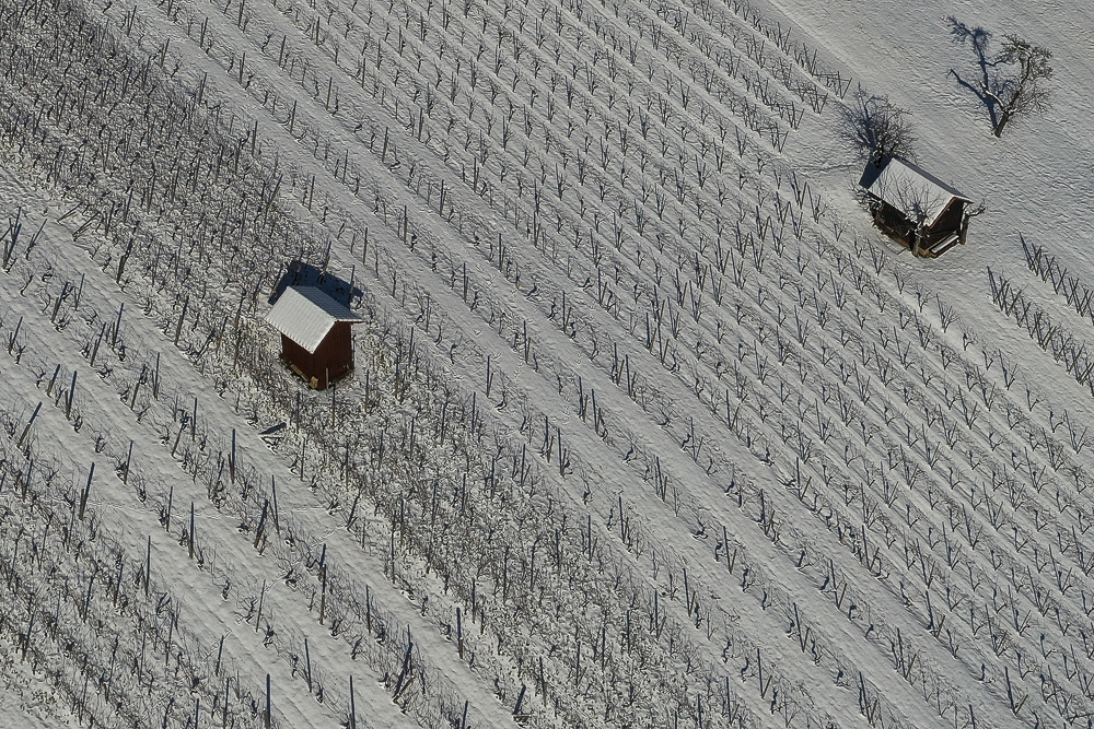 10. Platz - Reiner Enkelmann