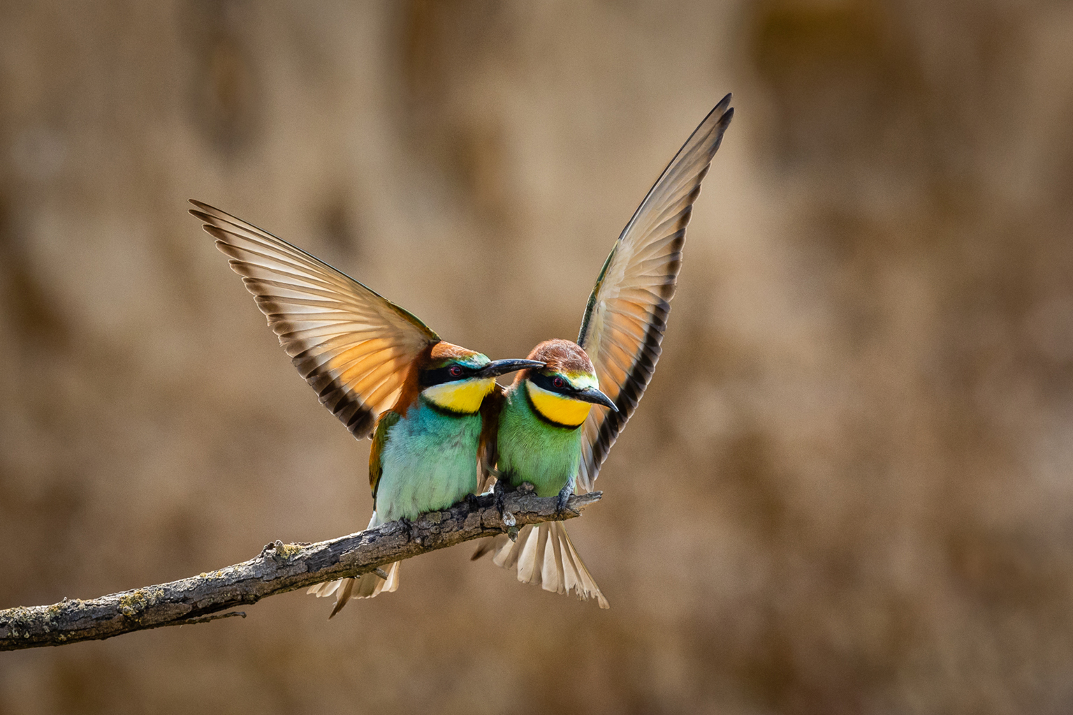 04. Platz - Ralph Stiller