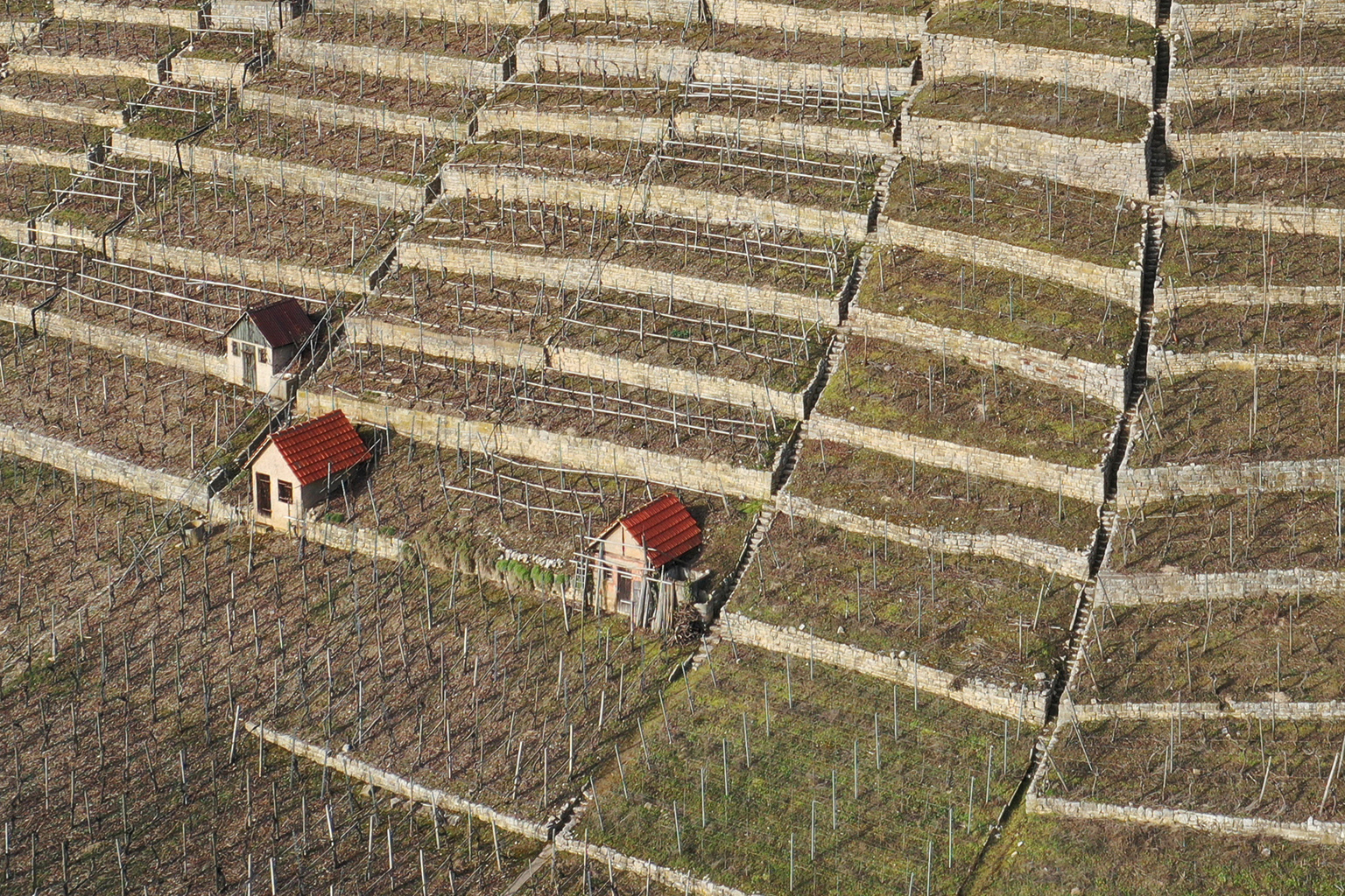 05. Platz - Reiner Enkelmann