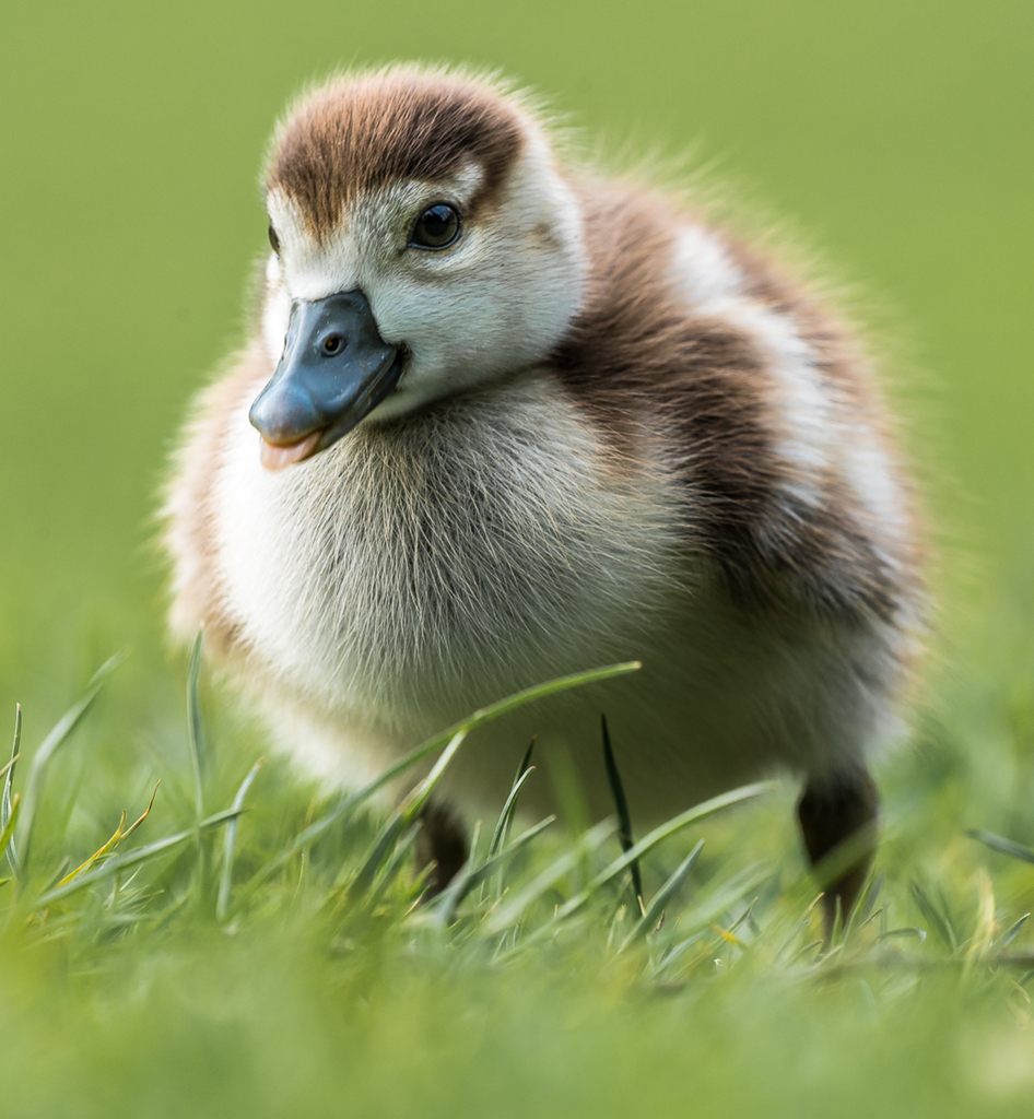 05. Platz - Heike Ziegler