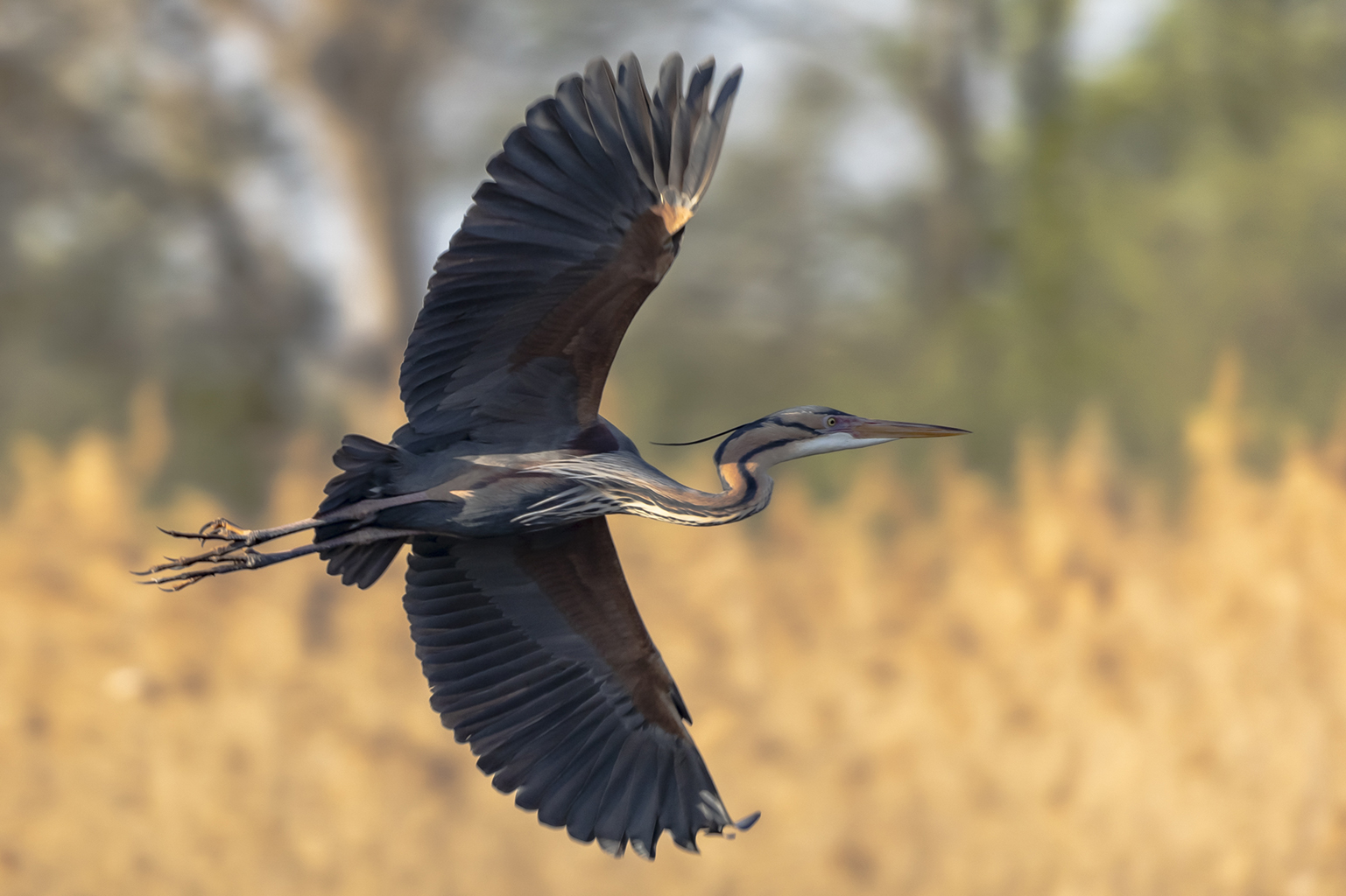 05. Platz - Leon Sterk