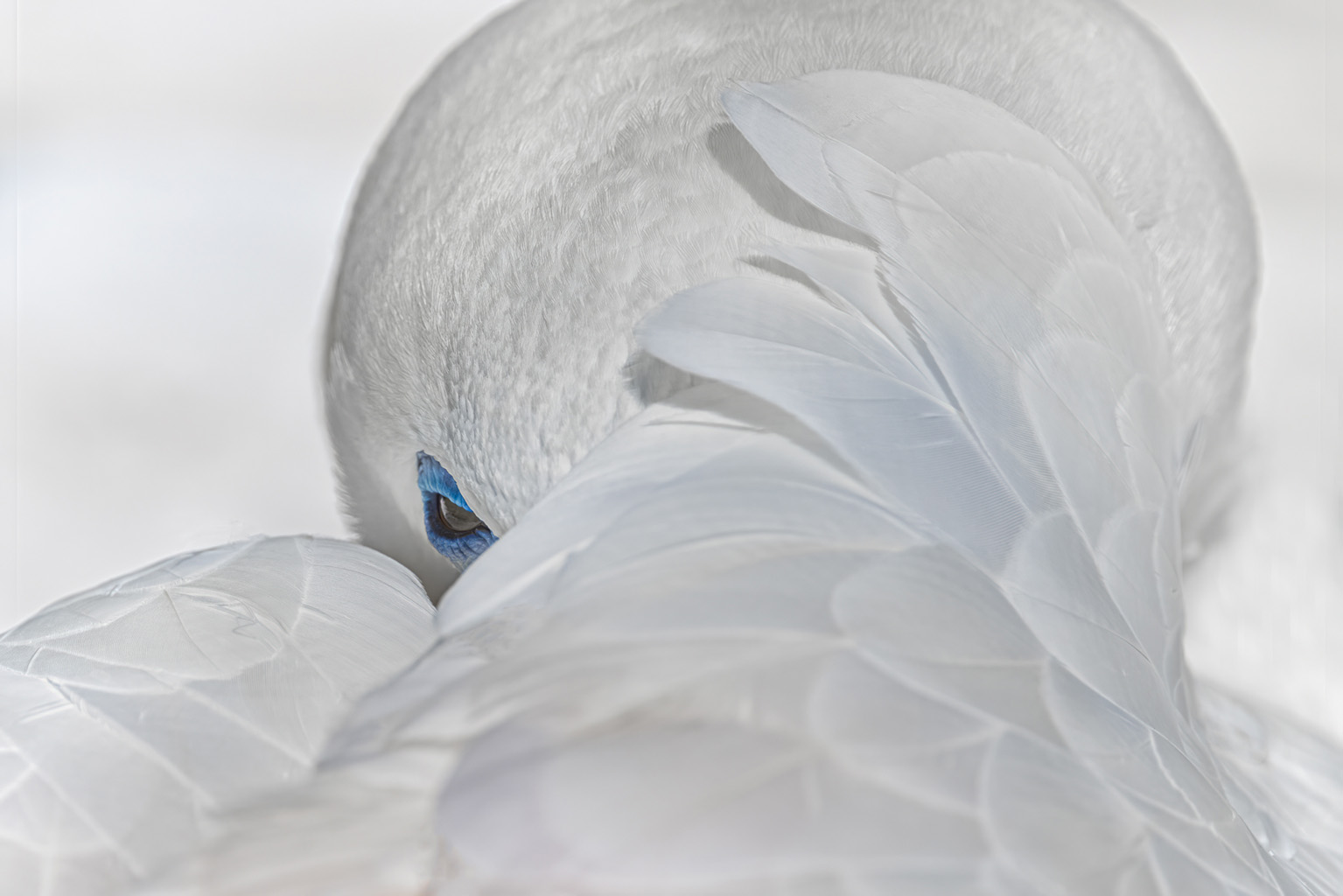 02. Platz - Monika Egerer