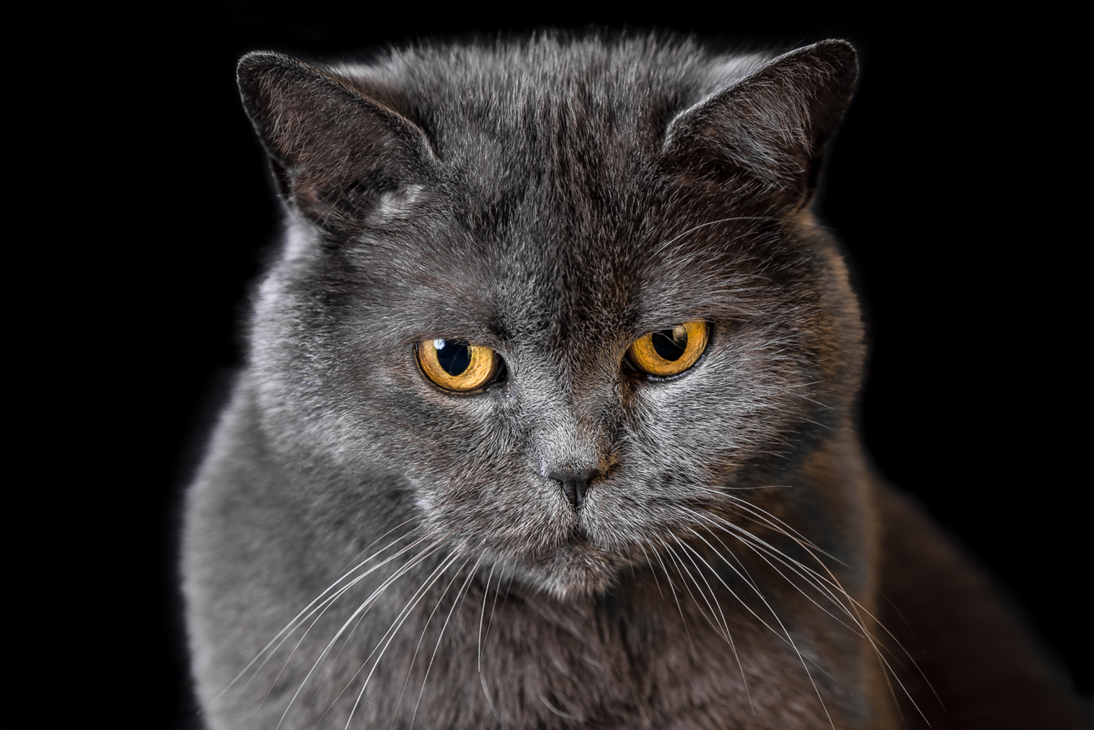 04. Platz - Heike Ziegler