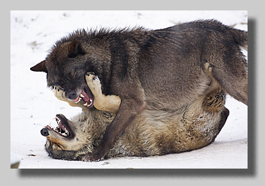 2. Platz -  Harald L�ffler