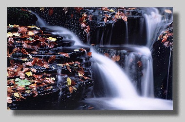 3. Platz -  Darko B�hringer