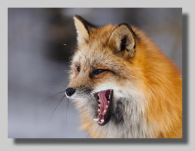 2. Platz -  Harald L�ffler