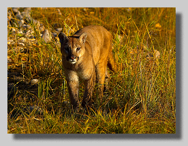 3. Platz -  Harald L�ffler