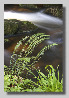 5. Platz -  Darko B�hringer