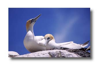 5. Platz -  G�nter Bluthardt