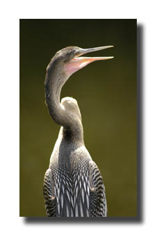 3. Platz -  Norbert Heil