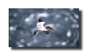 1. Platz - Bernd Zoller