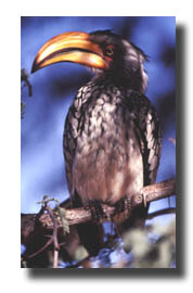 2. Platz -  Darko B�hringer