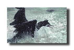 5. Platz - Volker Reister