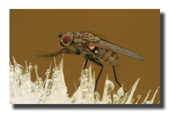 1. Platz - Qingwei Chen