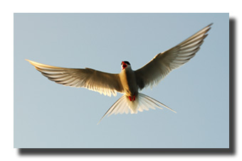 2. Platz -  Bernd Zoller