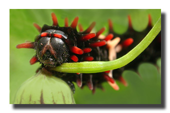 4. Platz - Hazel Reister