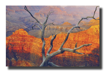 4. Platz -  Darko B�hringer