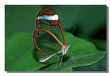 4. Platz - Volker Reister