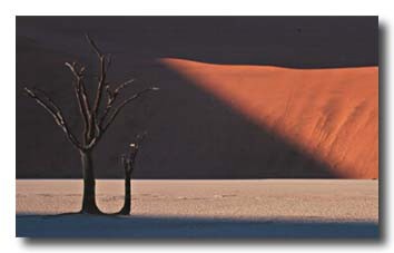 1. Platz -  Darko B�hringer