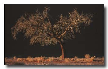 2. Platz -  Darko B�hringer