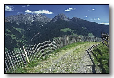 2. Platz - Hans W�rner