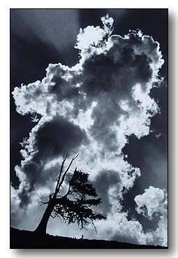 2. Platz - Dieter Bauer