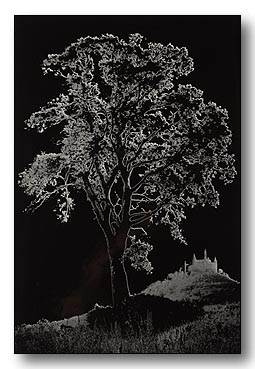 3. Platz - Dieter Bauer