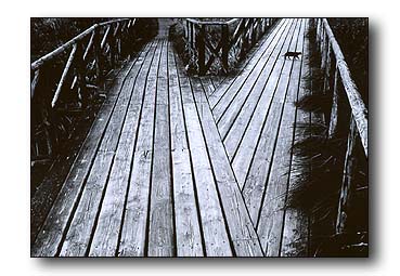 1. Platz - Dieter Bauer