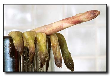 4. Platz - Robert Storz